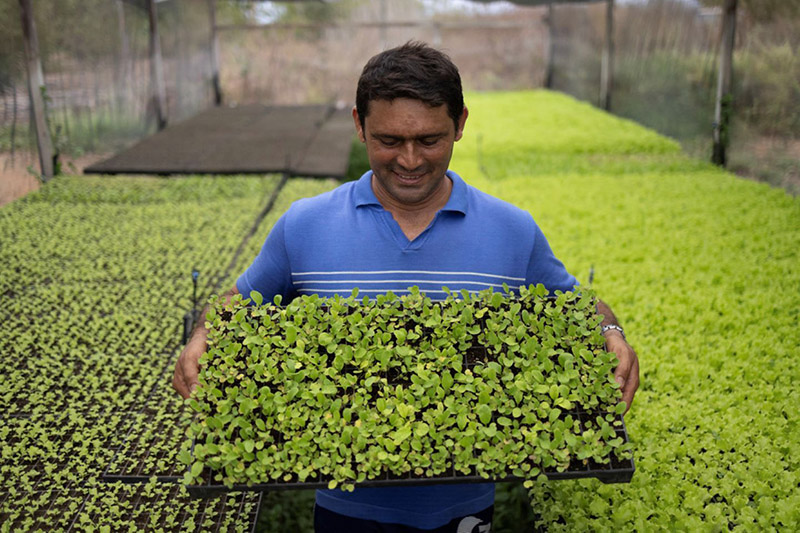 smiling man holding tray of seedlings