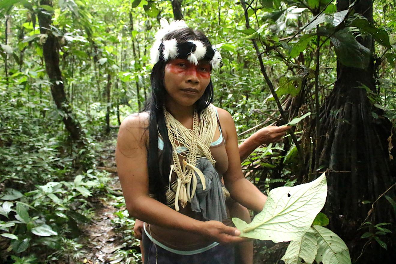 Indigenous woman in the forest.