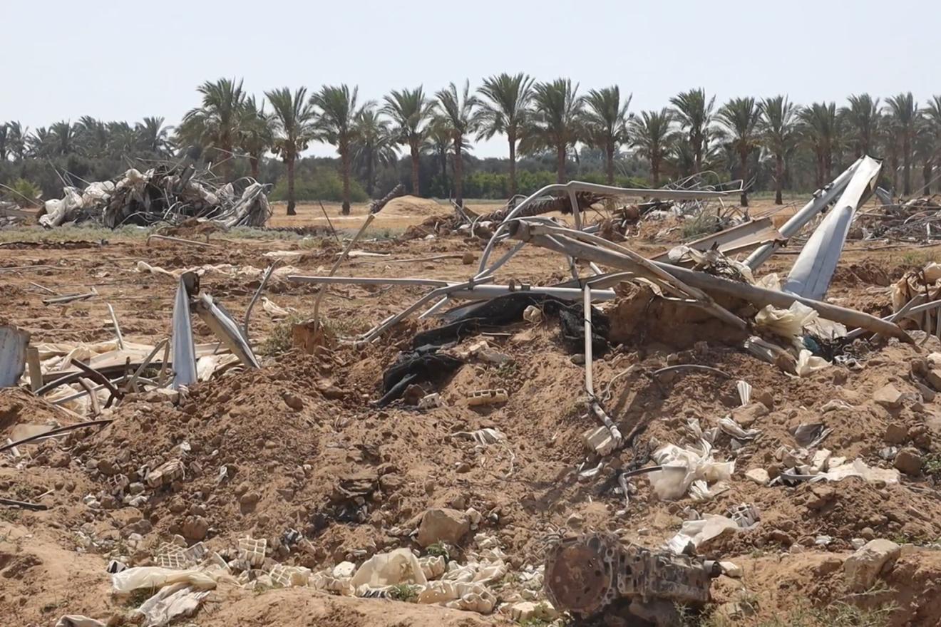 Agricultural land unusable as a result of Gaza hostilities.